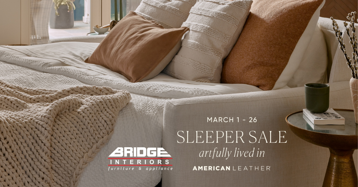 American leather comfort 2024 sleeper sale